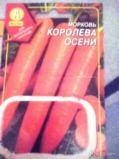 Морковь сорт королева осени отзывы