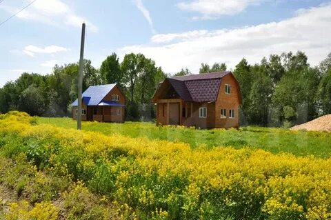 Куркино шаховская