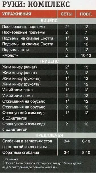 Программа тренировок на бицепс в зале. Комплекс упражнений для бицепса и трицепса в тренажерном зале. Схема накачки бицепса гантелями. Тренировка на бицепс. Программа тренировок на бицепс в зале.