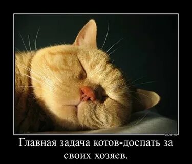 Картинка смешная осталось