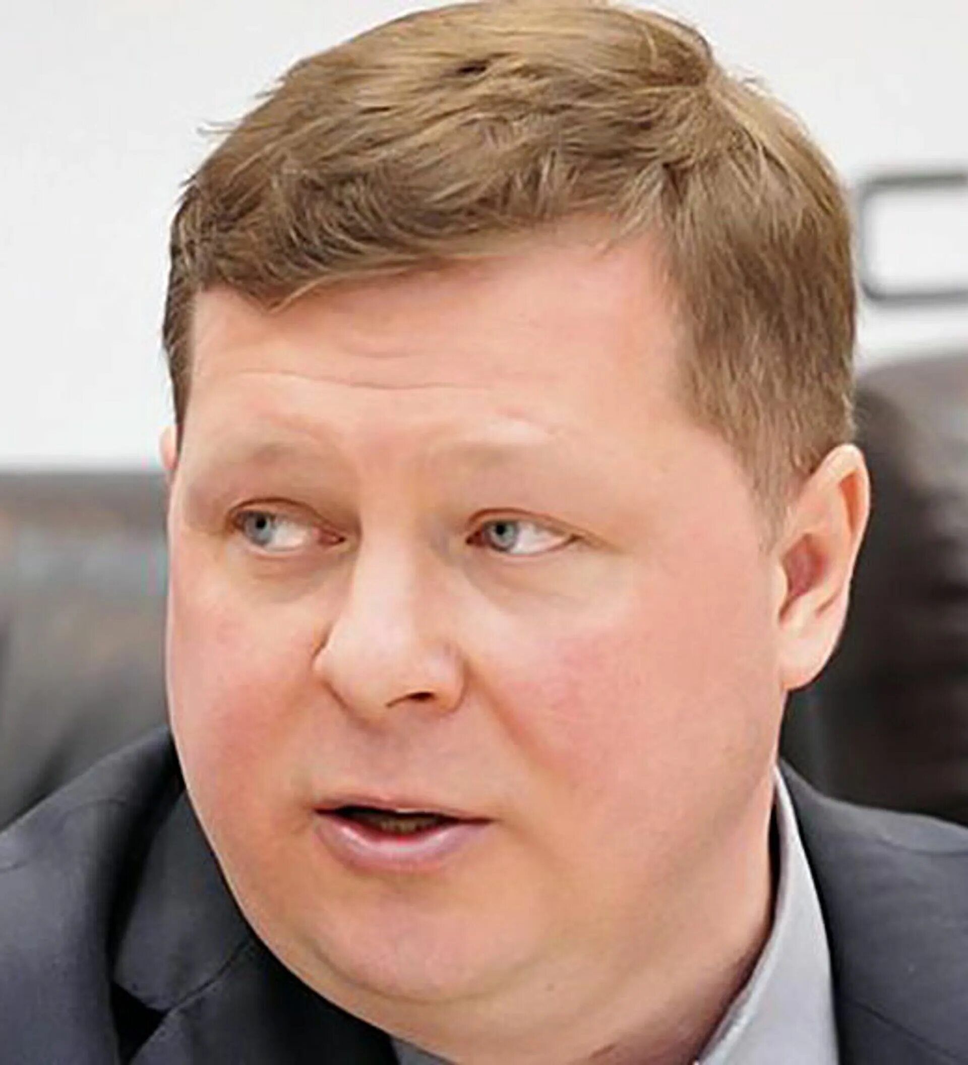Дело голуб. Дело голуб. Сизый голубь голуби. Дело голуб. Дело голуб.