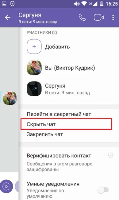 Как удалить секретный чат на айфоне. Скрытый чат в вайбере. секретный чат. уведомления секретного чата. как сделать закрытый чат в вайбере.