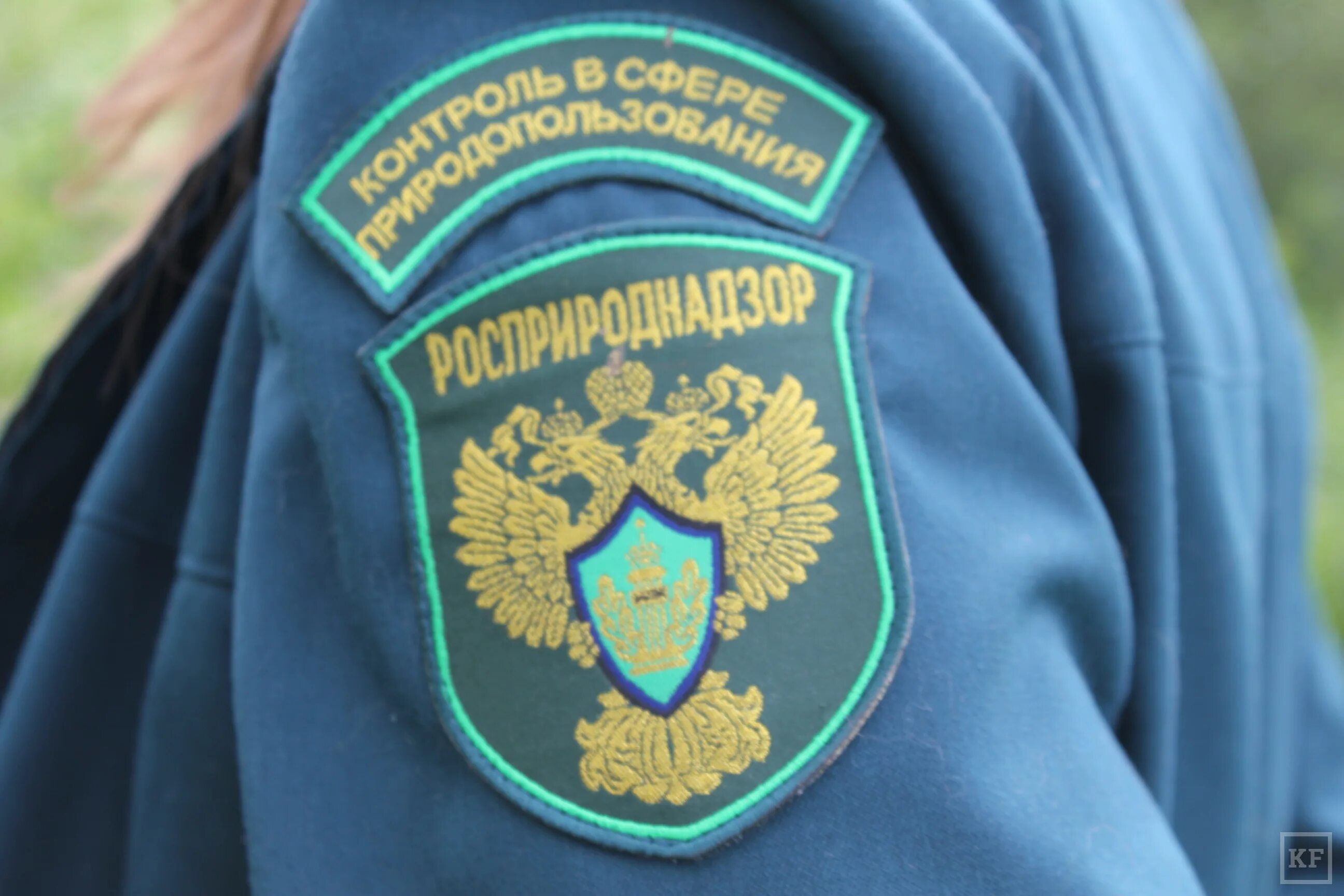 Федеральная служба по надзору в сфере природопользования. Природоохранная прокуратура логотип. Федеральная служба по надзору в сфере природопользования. Сфере природопользования. Сфере природопользования.