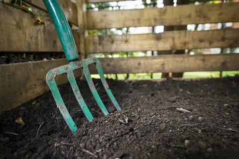 Когда вносить компост в почву