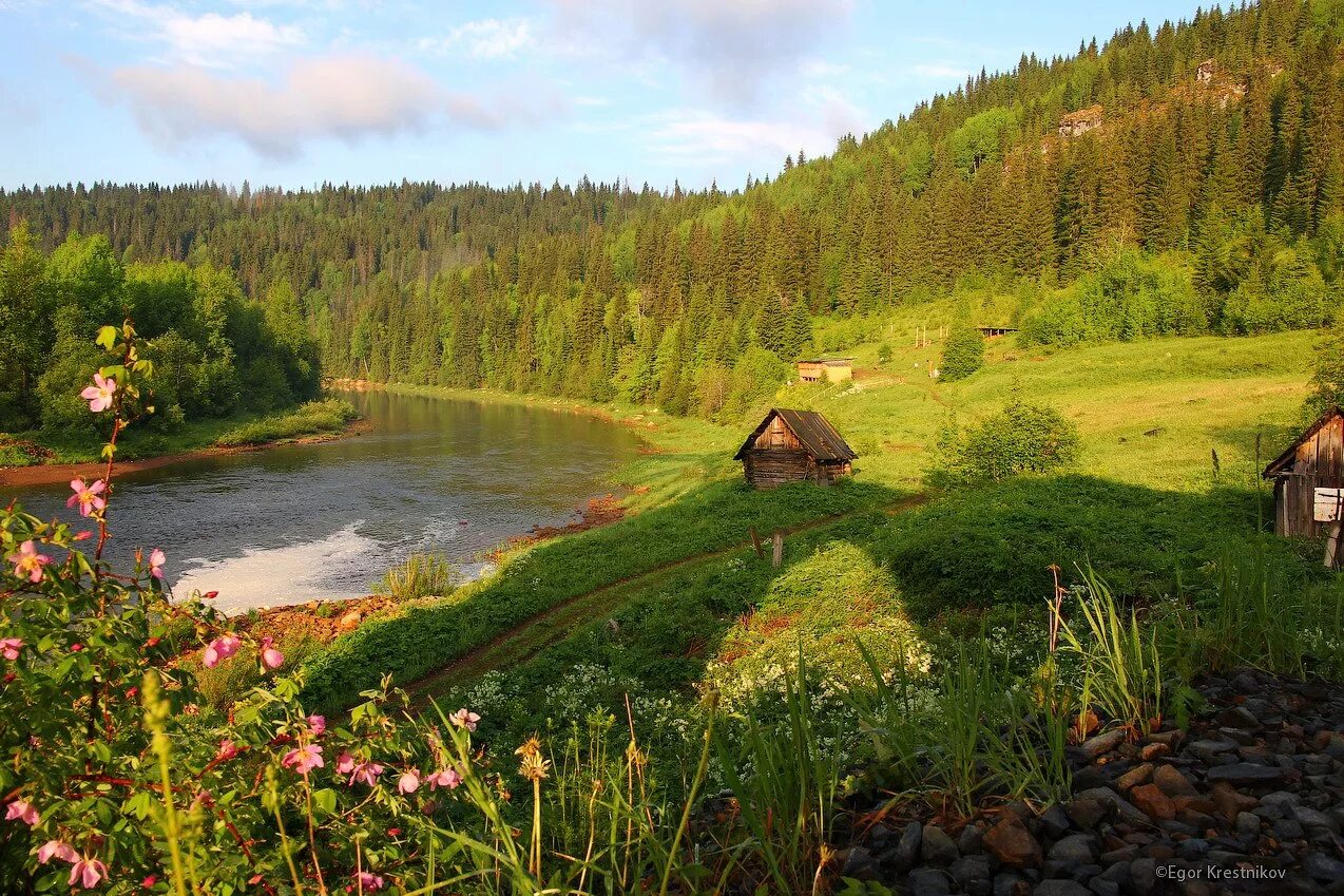 Природа Урала Пермский край. Деревня Усьва Пермский край. Урал поселок Чусовой. Усьва Пермский край пейзаж. Т в лесах и на горах