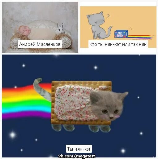 Как выглядит карту кет Слендермен vs Картун Кэт Мультяшный кот Кто Кого Плюс Дзен