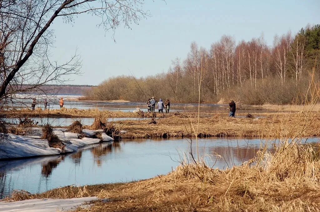 Рыбаки весной. Весенняя рыбалка. Ловим весной. Ловим весной. Ловим весной.