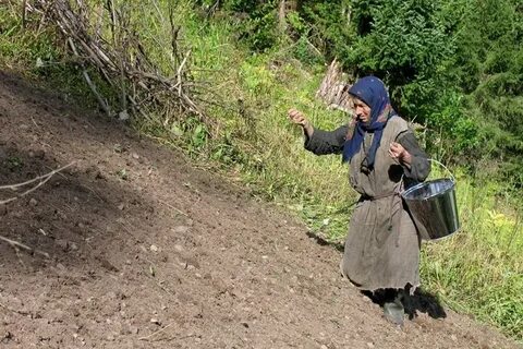 Живы ли лыковы