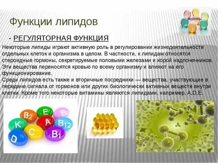 Функции липидов запасающая гормональная ферментативная