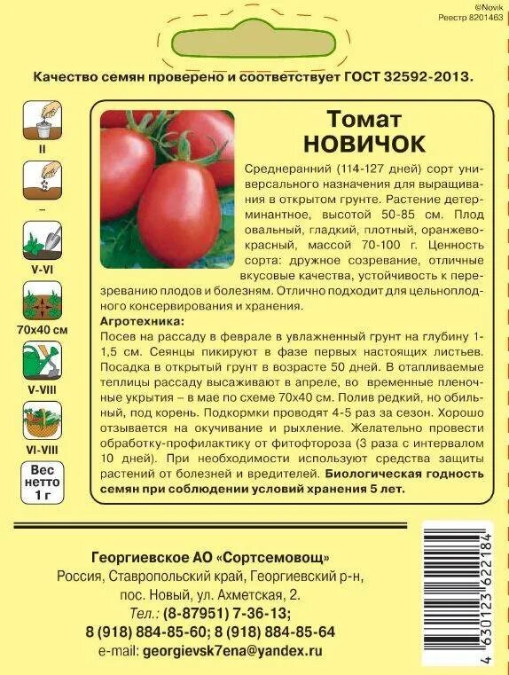 Томат новичок описание и отзывы урожайность характеристика. Сорт помидор новичок описание сорта. Томаты новичок описание сорта. Томат новичок характеристика и описание сорта. Сорт томатов ракета характеристика.