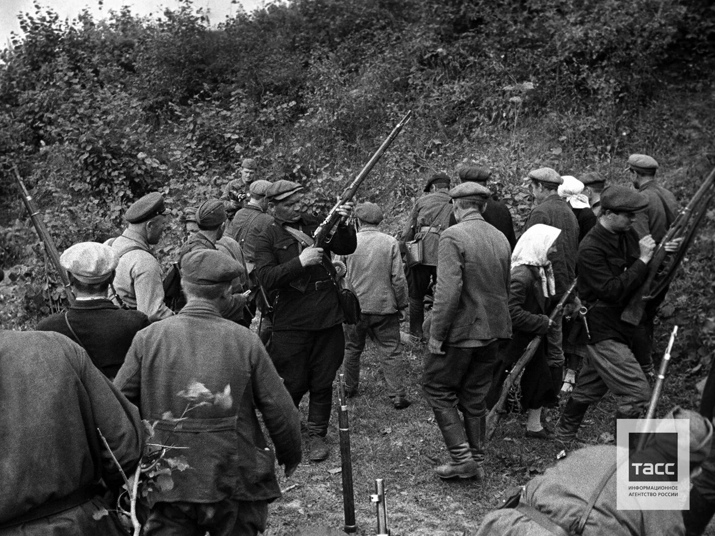Август 1941. Брянские партизаны в годы войны 1941-1945. партизанские отряды 1941 г.