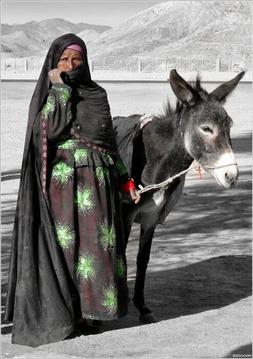 Верхняя одежда бедуинов 6 букв. Бурка бедуинки. Бедуинки в Египте. Национальная одежда бедуинов. Женская одежда бедуинская.