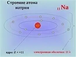 Атому натрия соответствует строение. Движение электронов в атоме натрия.
