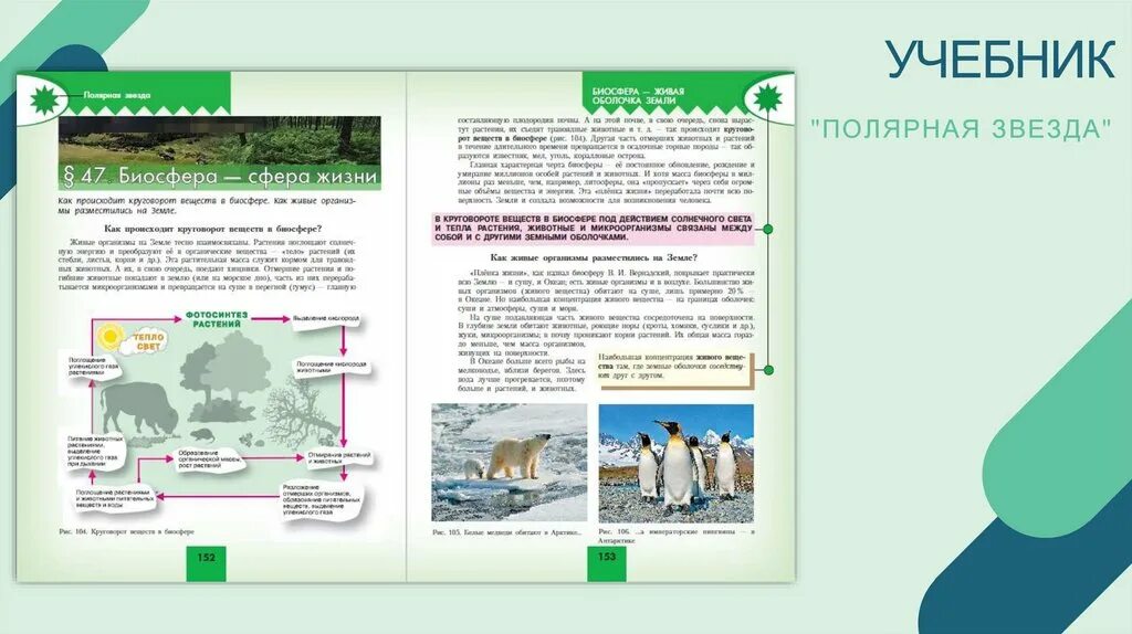 География 5 класс полярная звезда стр 67