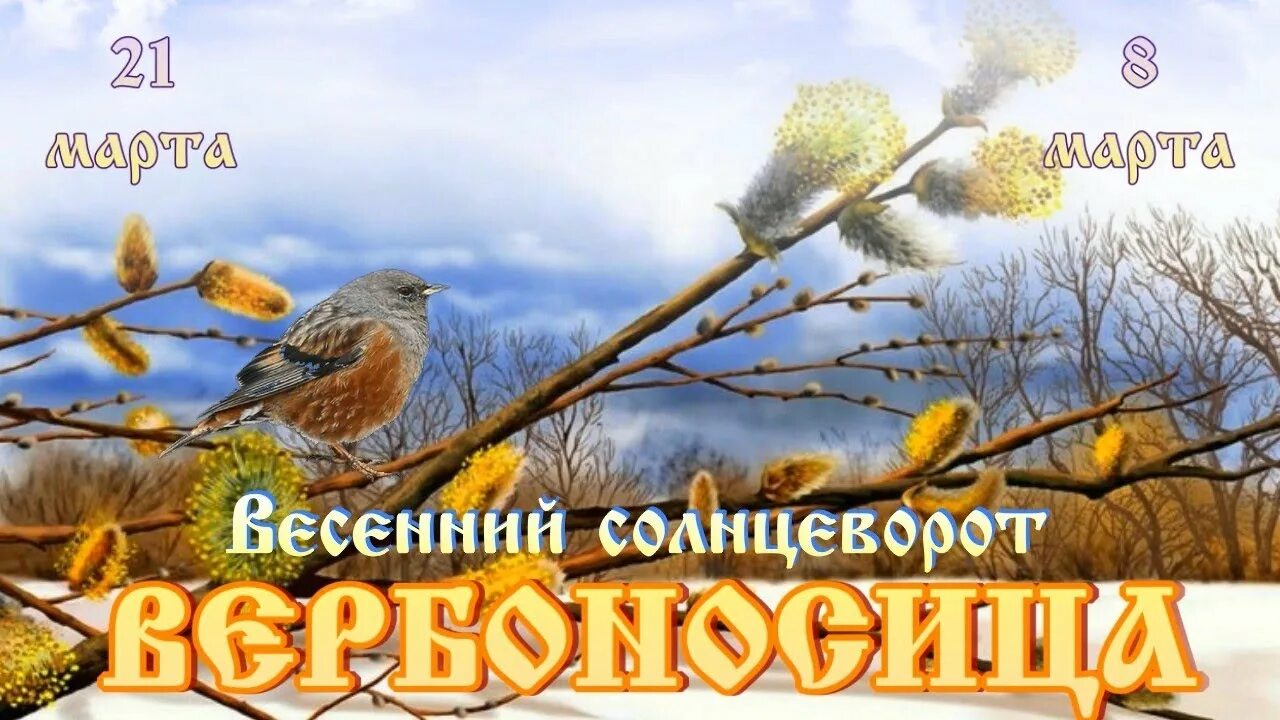 Весенний Солнцеворот. Весенний Солнцеворот Вербоносица. Весеннее равноденствие Солнцеворот. День весеннего солнцеворота.