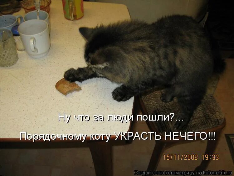 всю капусту сняли нечего украсть стих. блок зайка стихотворение. порядочный кот. нечего украсть. стих зайчик блок.