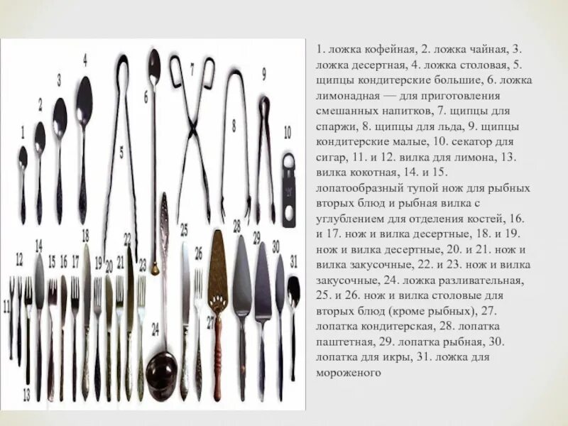 Виды столовых ложек. Формы ложек и их Назначение. Ложки виды Назначение