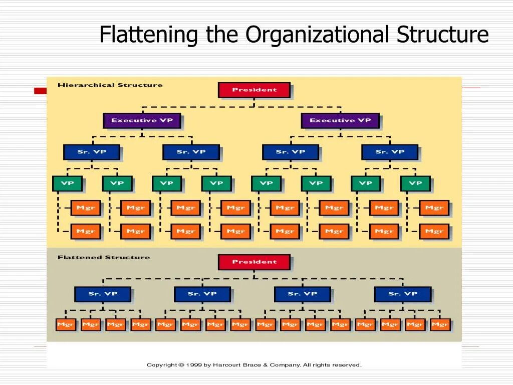 Flat structure. Flat organizational structure. project based structure. hierarchical organizational structure. project organizational structure.
