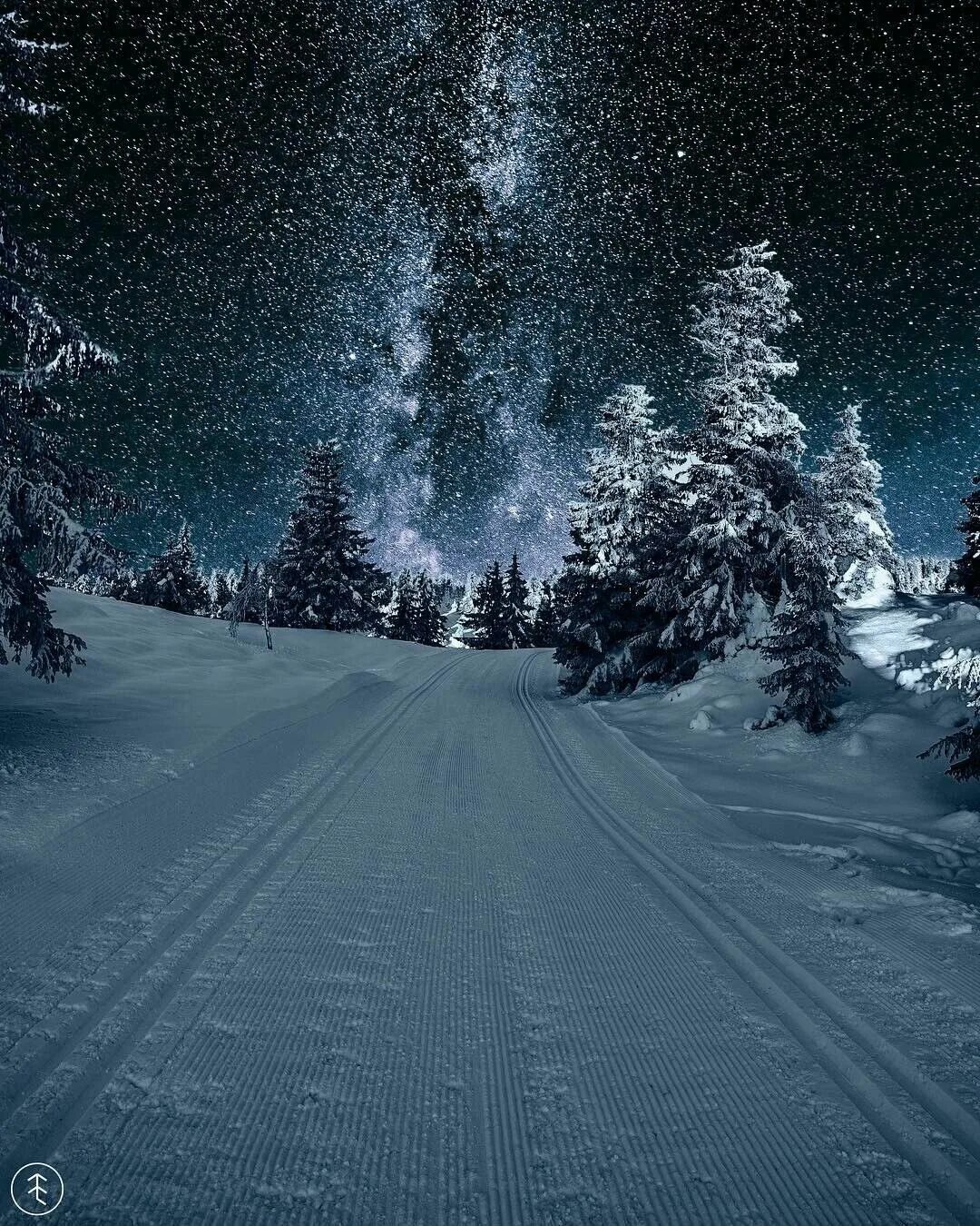 Картинка снег ночью. Зимняя ночь. Красивый снегопад. Зимний лес ночью. Снежный лес ночью.