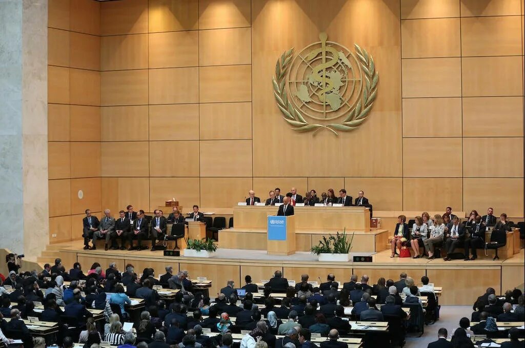Зал заседаний воз. Исполнительный комитет всемирной организации здравоохранения. Совещание воз. Конференция воз в москве. Исполнительный комитет воз.
