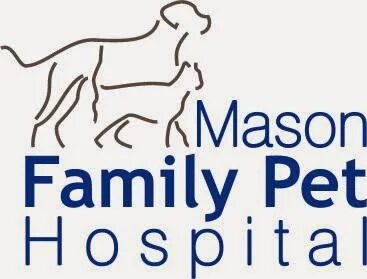 Pet family отзывы