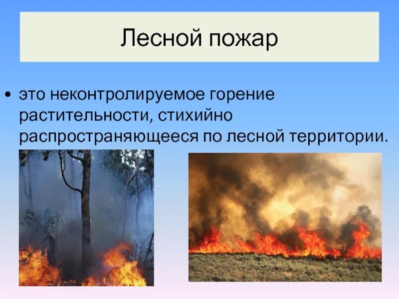 Лесной пожар это определение. Лесные пожары презентация. Пожар для презентации. Лесные пожары описание.