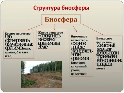 Структура биосферы 9 класс конспект