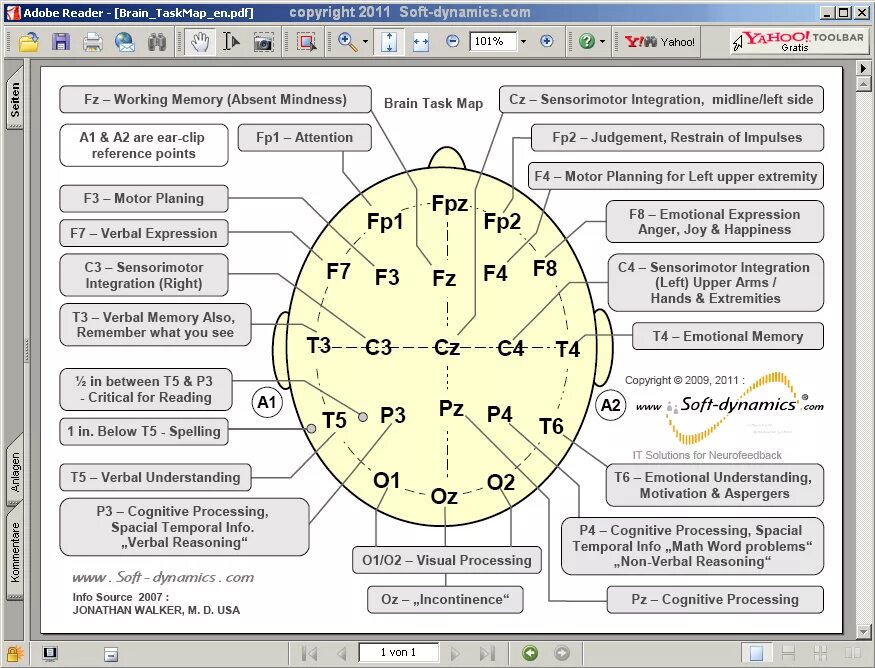 Brain tasks. Нейрофидбэк схема. Cognitive processes. Brain Maps EEG. Метод reference points.