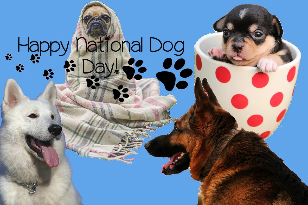 Дог дей картинки из игры. Международный день собак. Всемирный день собак открытки. День собак (National Dog Day) - США. Международный день собак 2 июля.