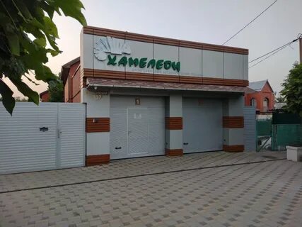 Хамелеон краснодар
