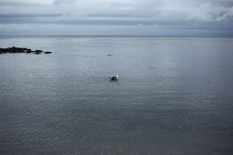 Охотское море внутреннее