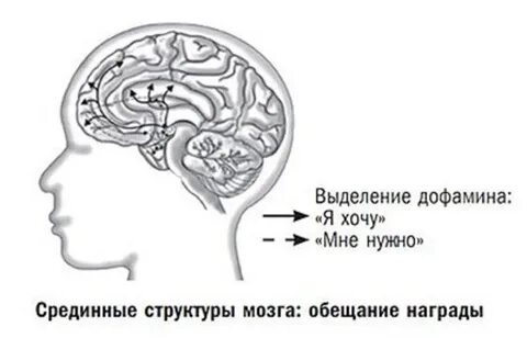 Дисфункции срединных структур у детей