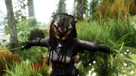 Skyrim sos