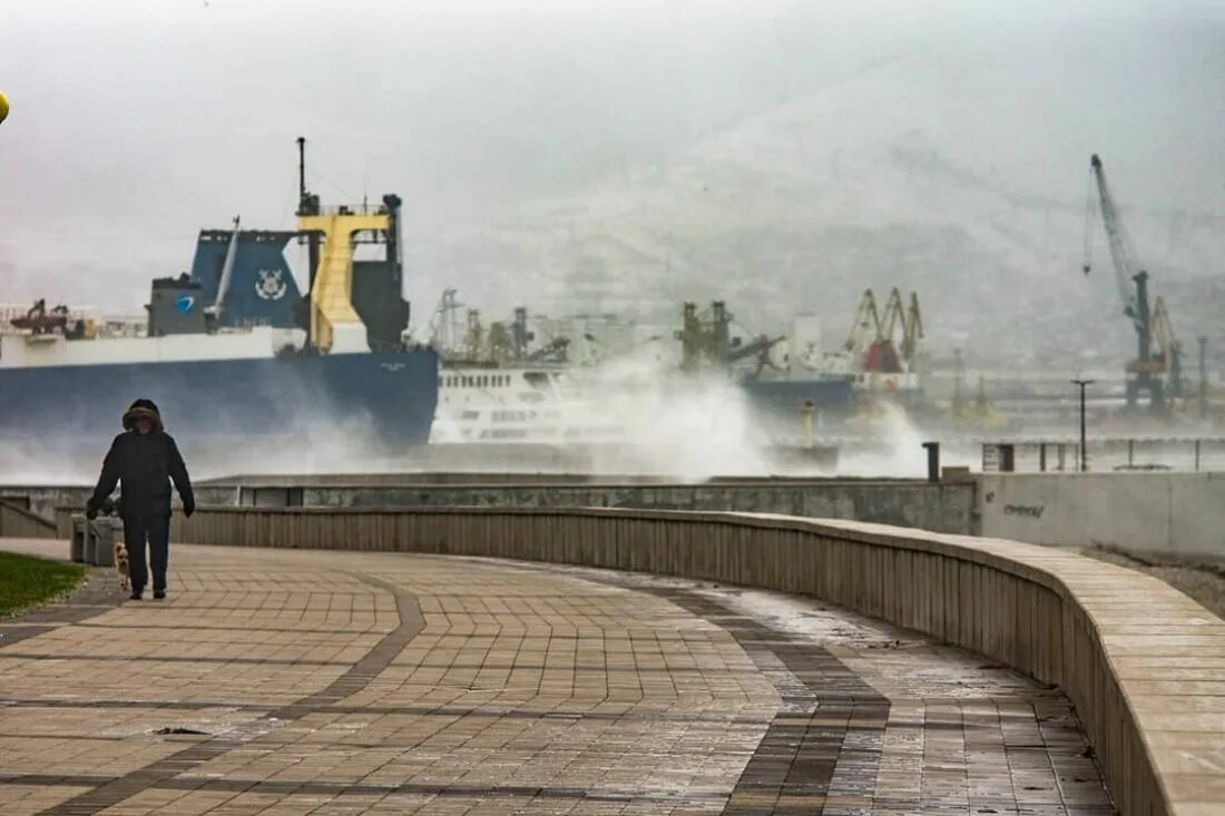 Джейкоб ти покемон го. Ветренное море шторм новороссийск. Алиев тайфун в одноклассниках новороссийск. Алиев тайфун в одноклассниках новороссийск. Тайфун в сочи.