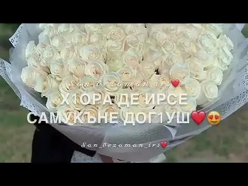 Поздравление для сестры на чеченском. Поздравления с днём рождения на чеченском. Чеченская певица асет халидова. Радима зармаева. Чеченская песня сестре.