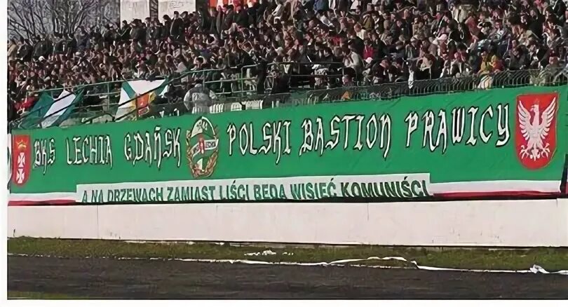 Вместо листьев