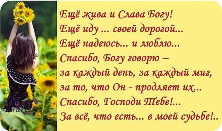 Спасибо жизнь за каждый день. Еще жива ислва богу еще иду своей дорогой. благодарность богу в стихах. стих благодарите господа. день прожит и слава богу стихи.