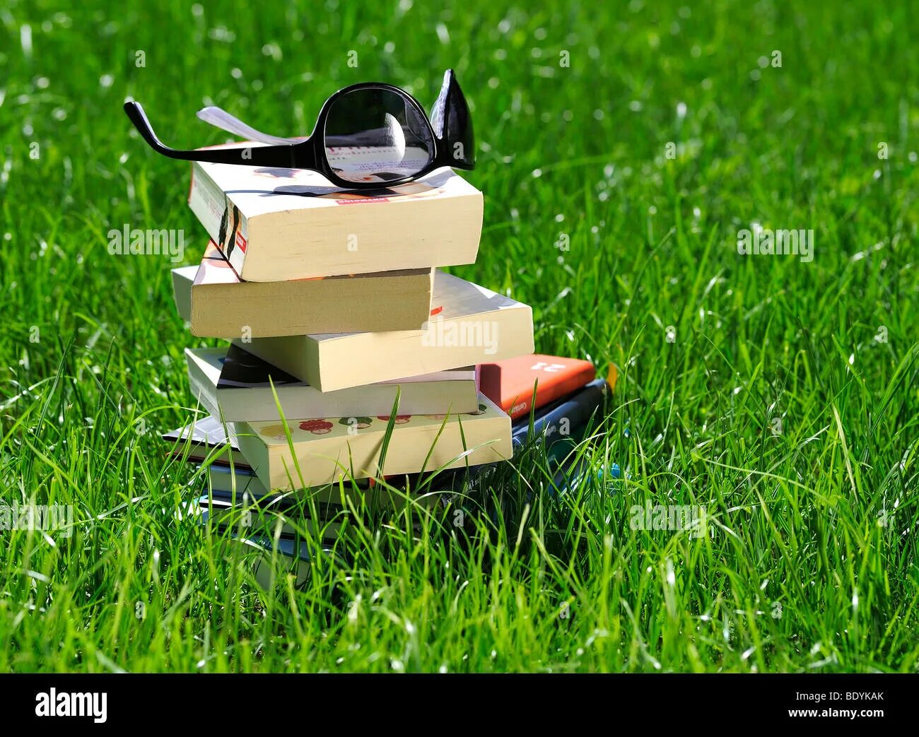 When reading these books the speaker. Чтение в отпуске. Отпуск с книгой. Июньские книги. В отпуск с книгой июнь.