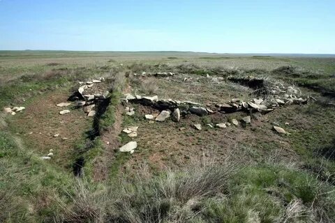 Курганы с усами