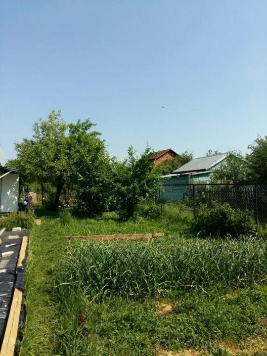 Снт сокол самара. Сады сокол нижний новгород. Снт сокол 1 нижний новгород. Снт сокол 1 нижний новгород. Сады дачи по московскому шоссе.