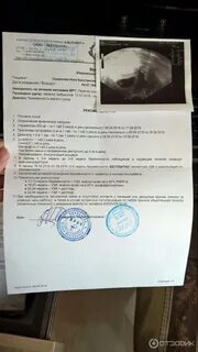 Договор эко