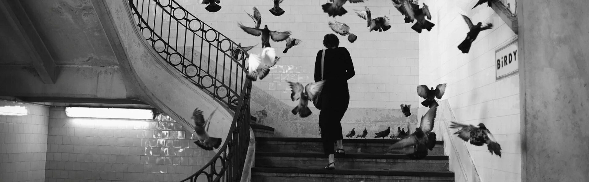Henri cartier-bresson. Снимки анри картье брессона. Анри картье-брессон (henri cartier-bresson). Анри картье работы. Анри картье-брессон.