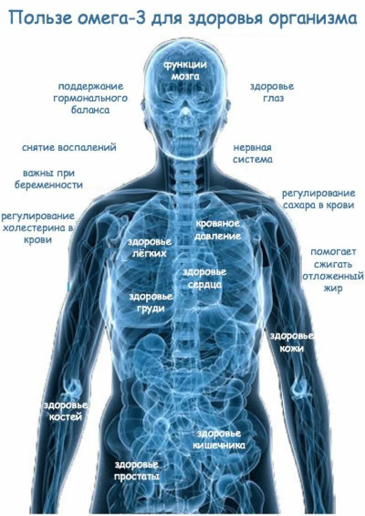 Омега 3 польза. Омега-3 польза для организма. Чем полезна Омега. Организм Омеги.