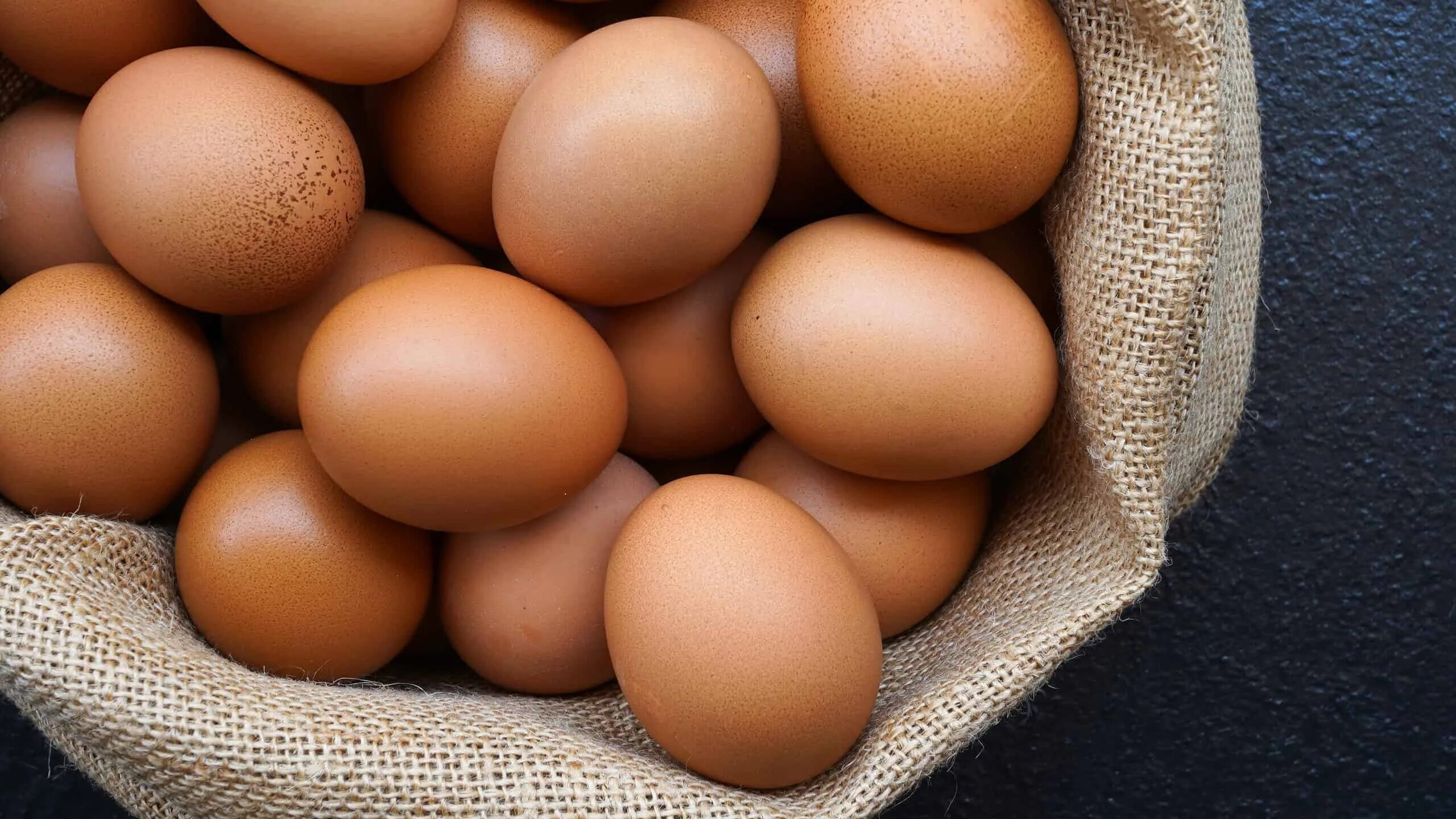 Egg на русском