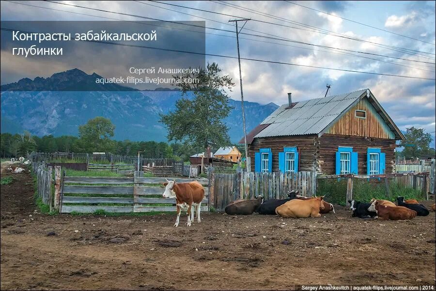 Деревня в забайкальском крае. Деревни забайкальского края. село улюнхан. улюнхан бурятия. забайкальская деревня.
