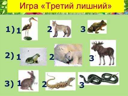 В каком ряду третий лишний