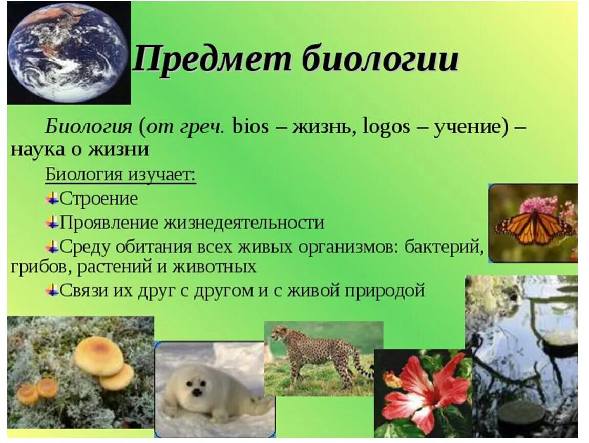 Какую природу изучает биология. Что изучает биология. биология это наука изучающая. биология наука о живых организмах. биология наука о живой природе.