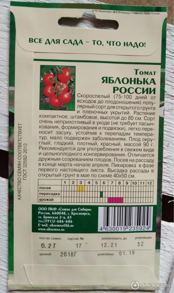 Яблонька россии томат фото урожайность. Семена томата Яблонька России описание. Семена томат Яблонька России. Томаты сорт Яблонька России. Яблонька Сибири томат описание сорта характеристика.