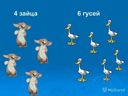 6 гусей