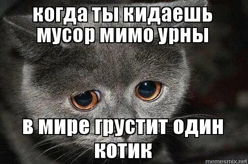 Ж мимо. Не бросайте мусор мимо урны. в мире грустит один. не кидайте мусор мимо урны. бросил мусор мимо урны.